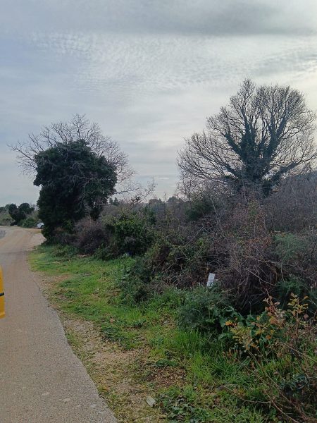 pozemek – Stavební Pakoštane, Pakoštane, Chorvatsko – foto 1