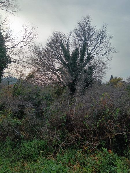 pozemek – Stavební Pakoštane, Pakoštane, Chorvatsko – foto 5