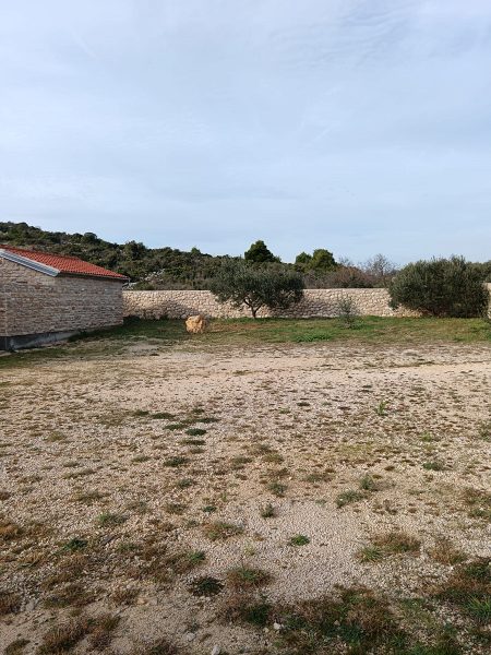 dům – Samostatně stojící dům Pakoštane, Pakoštane, Chorvatsko – foto 13