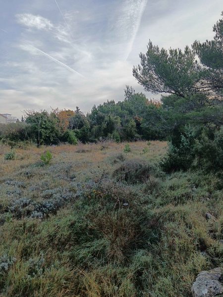 pozemek – Stavební pozemek Drage, Drage, Chorvatsko – foto 3