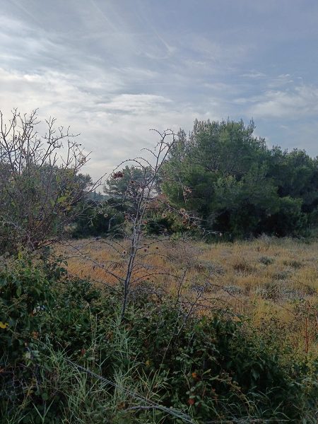 pozemek – Stavební pozemek Drage, Drage, Chorvatsko – foto 6