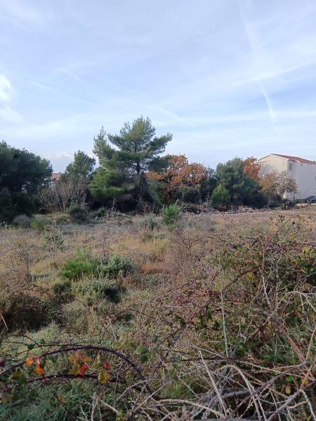 pozemek – Stavební pozemek Drage, Drage, Chorvatsko – foto 5