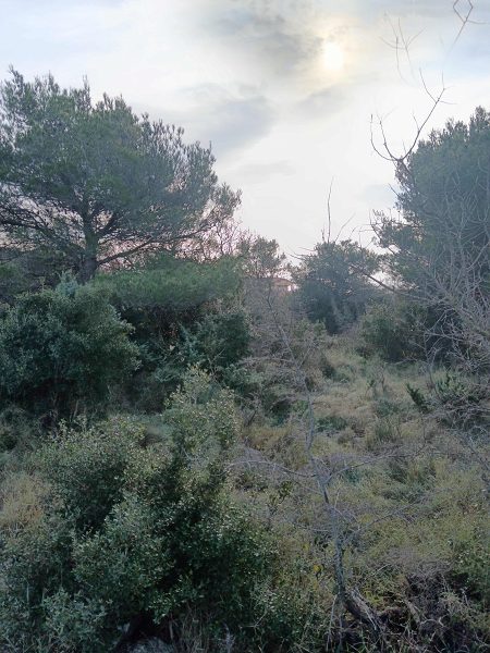 pozemek – Stavební Pakoštane, Pakoštane, Chorvatsko – foto 4