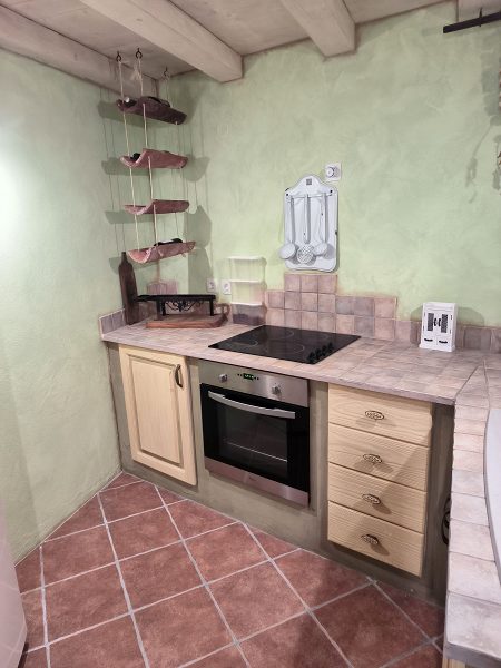 dům – AUTENTICKÝ STŘEDOMOŘSKÝ KAMENNÝ DŮM S ÚŽASNÝM VÝHLEDEM, Veli Iž, Chorvatsko – foto 15