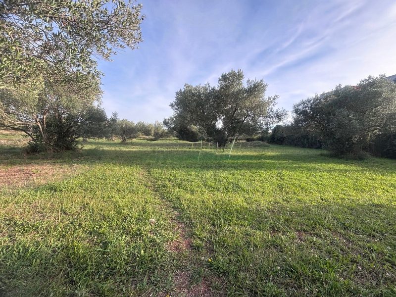 pozemek – Stavební pozemek 400 metrů od moře – Turanj, Biograd na Moru, Biograd , Chorvatsko – foto 6