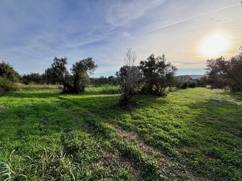 pozemek – Stavební pozemek 400 metrů od moře – Turanj, Biograd na Moru, Biograd , Chorvatsko – foto 5