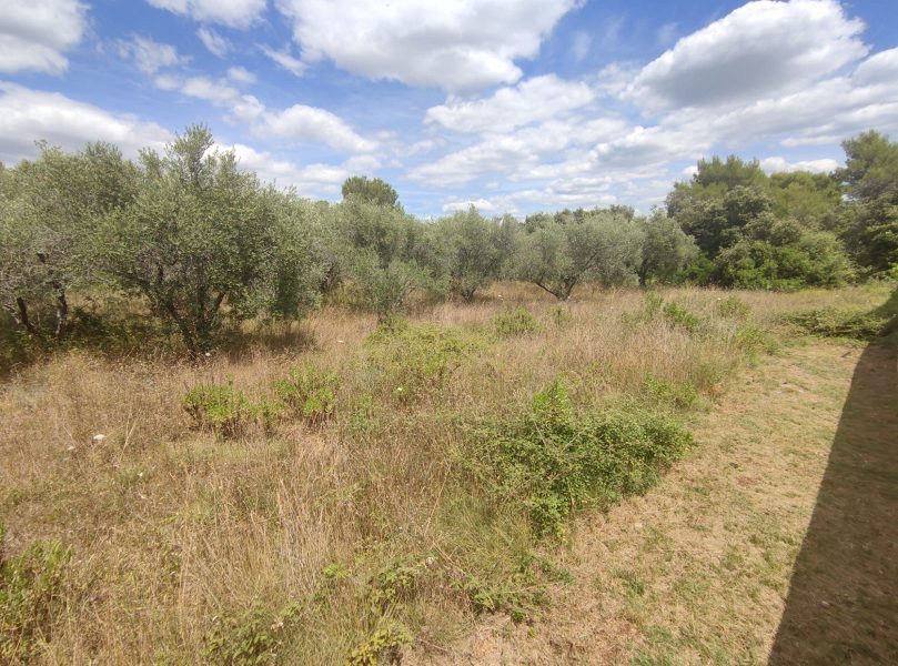 pozemek – Stavební pozemek Sukošan, Sukošan, Chorvatsko – foto 1