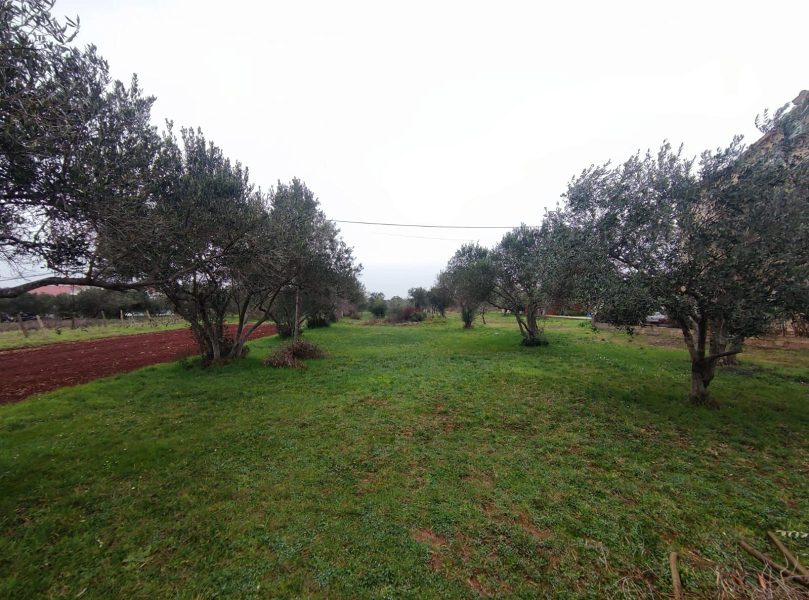 pozemek – Stavební pozemek Sukošan, Sukošan, Chorvatsko – foto 1