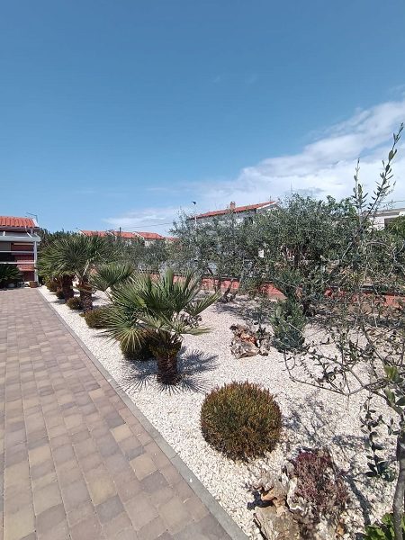 dům – Komfortní dům se 4 apartmány u moře na Viru, Vir, Chorvatsko – foto 13