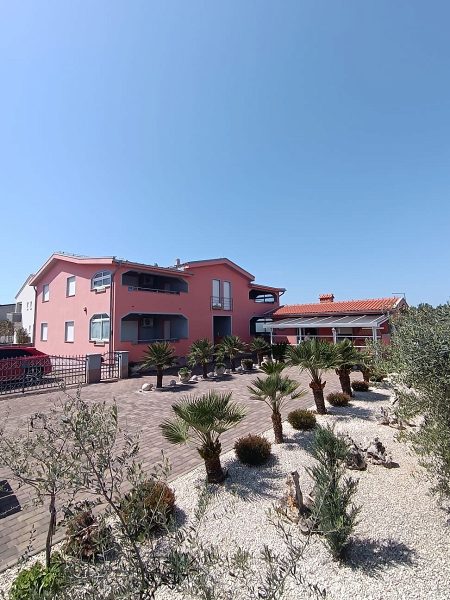 dům – Komfortní dům se 4 apartmány u moře na Viru, Vir, Chorvatsko – foto 1