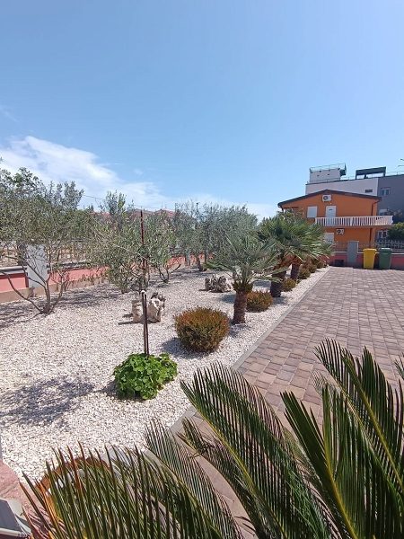 dům – Komfortní dům se 4 apartmány u moře na Viru, Vir, Chorvatsko – foto 9