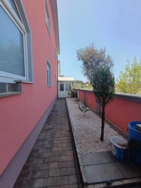 dům – Komfortní dům se 4 apartmány u moře na Viru, Vir, Chorvatsko – foto 22