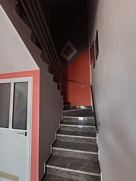 dům – Komfortní dům se 4 apartmány u moře na Viru, Vir, Chorvatsko – foto 44