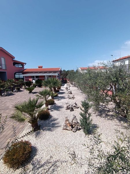 dům – Komfortní dům se 4 apartmány u moře na Viru, Vir, Chorvatsko – foto 10