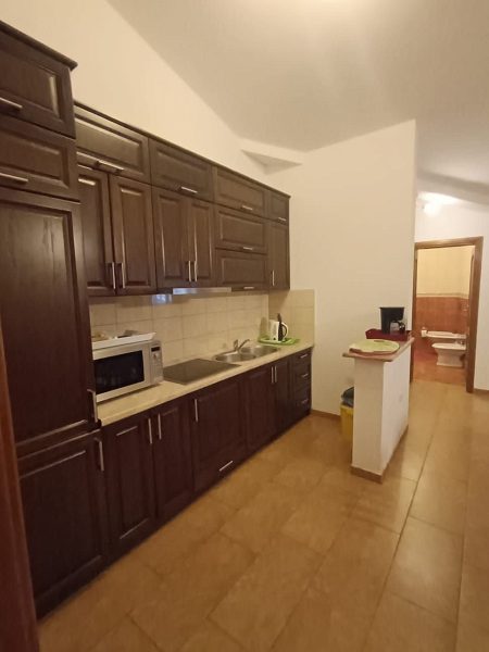dům – Komfortní dům se 4 apartmány u moře na Viru, Vir, Chorvatsko – foto 54