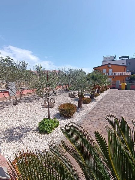 dům – Komfortní dům se 4 apartmány u moře na Viru, Vir, Chorvatsko – foto 18