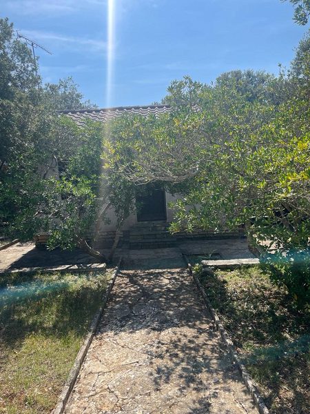 dům – Samostatně stojící dům Petrčane S2, Petrčane, Chorvatsko – foto 4