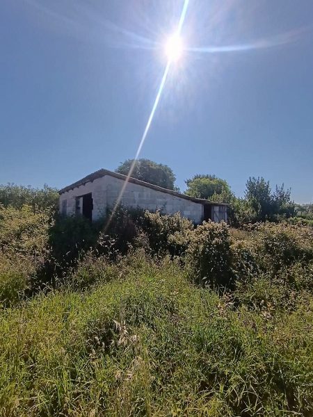 pozemek – Pozemek s budovami – Debeljak, 1 155 m², Sukošan, Chorvatsko – foto 4