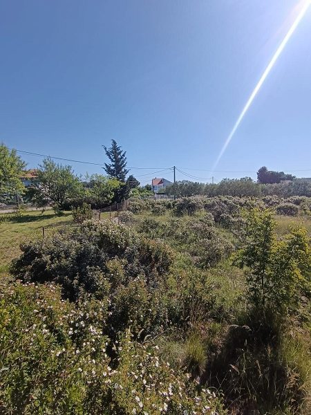 pozemek – Pozemek s budovami – Debeljak, 1 155 m², Sukošan, Chorvatsko – foto 6