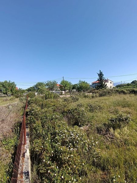 pozemek – Pozemek s budovami – Debeljak, 1 155 m², Sukošan, Chorvatsko – foto 8