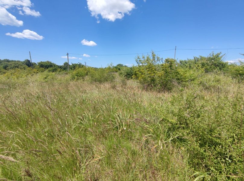 pozemek – Stavební pozemek Briševo o rozloze 2860 m2, Briševo, Chorvatsko – foto 1