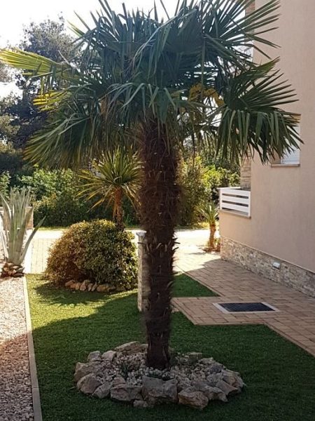 byt – Moderní mezonetový byt v Biogradu na Moru, Biograd na Moru, Chorvatsko – foto 6