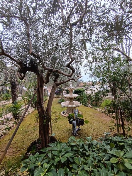 dům – Apartmánový dům Nin, Nin, Chorvatsko – foto 21