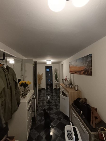 dům – Apartmánový dům Nin, Nin, Chorvatsko – foto 6