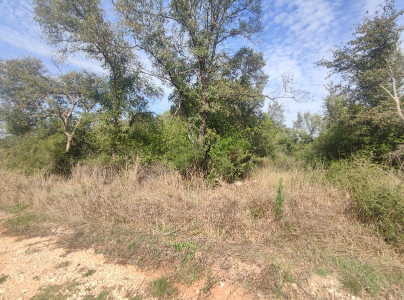 pozemek – Zemunik Donji, pozemek v klidné lokalitě, Zemunik donji, Chorvatsko – foto 1