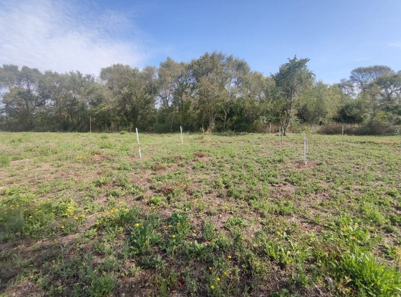 pozemek – Zemunik Donji, pozemek v klidné lokalitě, Zemunik donji, Chorvatsko – foto 2