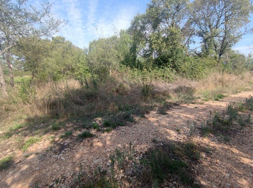 pozemek – Zemunik Donji, pozemek v klidné lokalitě, Zemunik donji, Chorvatsko – foto 3