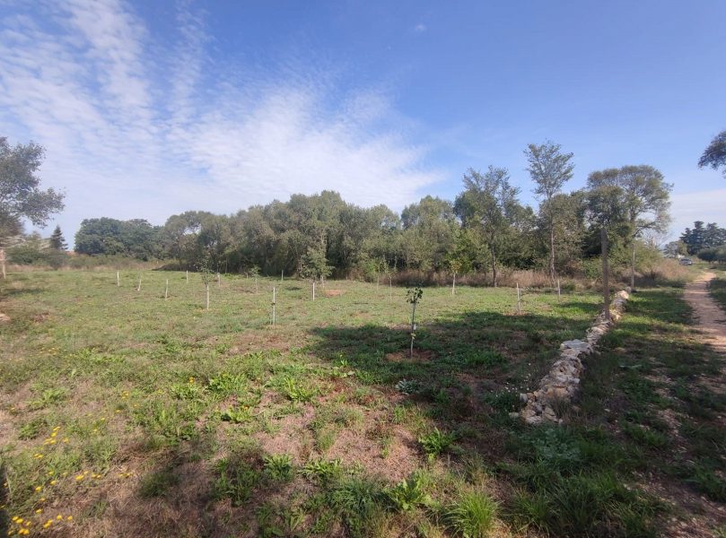 pozemek – Zemunik Donji, pozemek v klidné lokalitě, Zemunik donji, Chorvatsko – foto 4