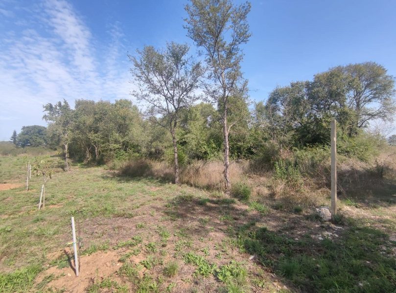 pozemek – Zemunik Donji, pozemek v klidné lokalitě, Zemunik donji, Chorvatsko – foto 5