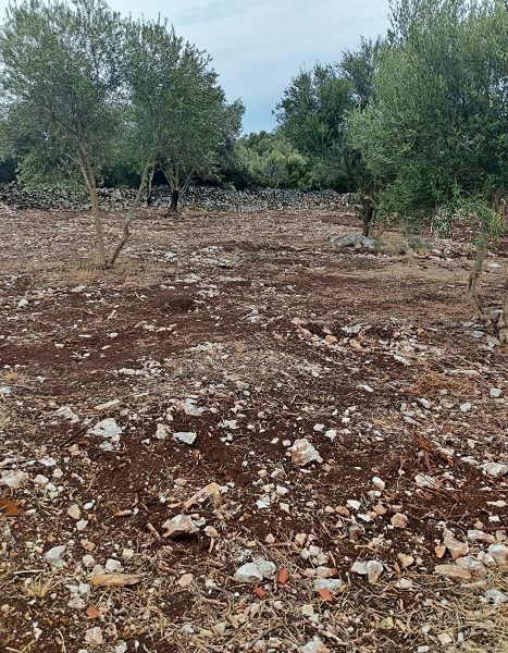 pozemek – Stavební pozemek Sukošan, Sukošan, Chorvatsko – foto 2