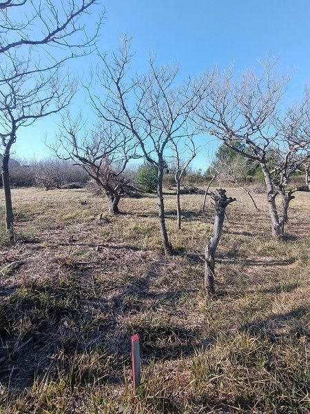 pozemek – Stavební Privlaka, Privlaka, Chorvatsko – foto 3