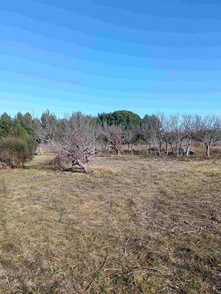 pozemek – Stavební Privlaka, Privlaka, Chorvatsko – foto 6
