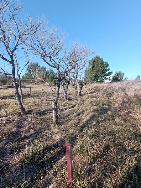 pozemek – Stavební Privlaka, Privlaka, Chorvatsko – foto 1