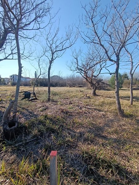 pozemek – Stavební Privlaka, Privlaka, Chorvatsko – foto 2