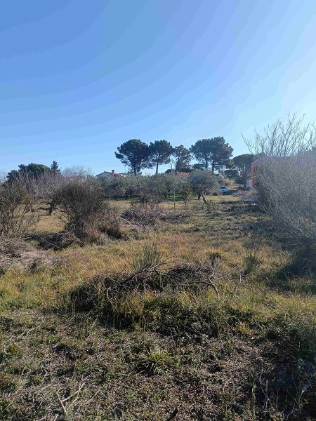 pozemek – Stavební Privlaka, Privlaka, Chorvatsko – foto 5