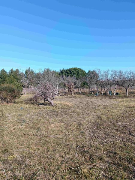 pozemek – Stavební Privlaka, Privlaka, Chorvatsko – foto 6