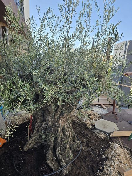 byt – Dvoupodlažní apartmán v Ninu, Nin, Chorvatsko – foto 25