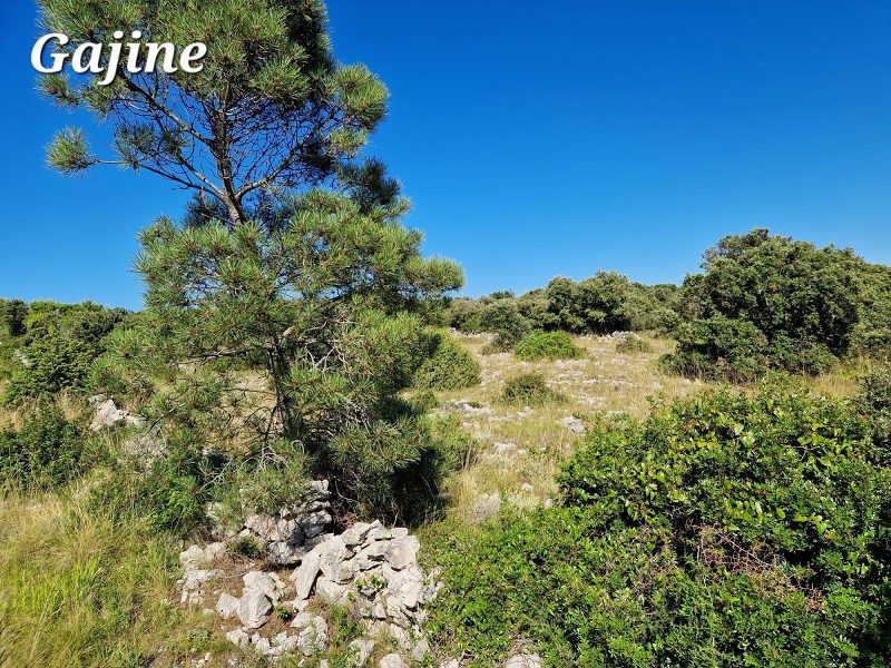 pozemek – Stavební pozemek Vir, Vir, Chorvatsko – foto 3