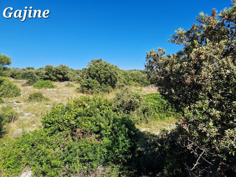 pozemek – Stavební pozemek Vir, Vir, Chorvatsko – foto 4