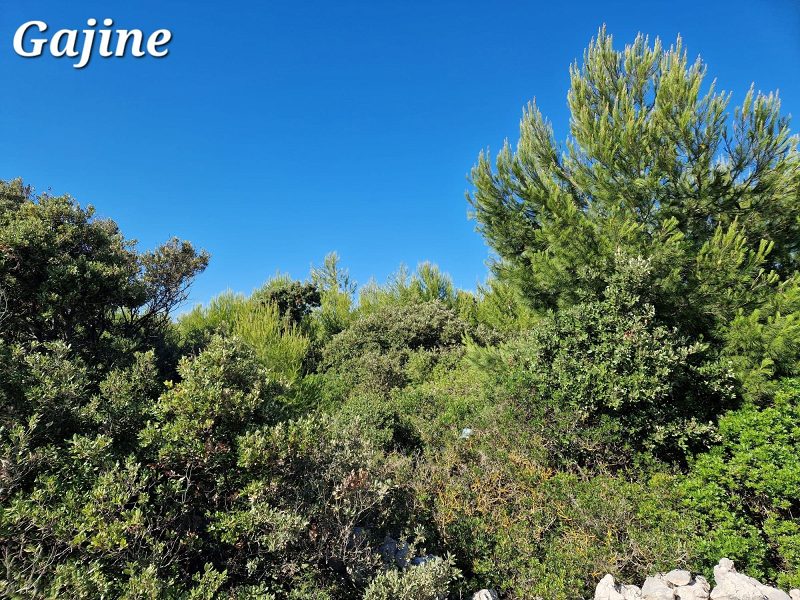 pozemek – Stavební pozemek Vir, Vir, Chorvatsko – foto 7