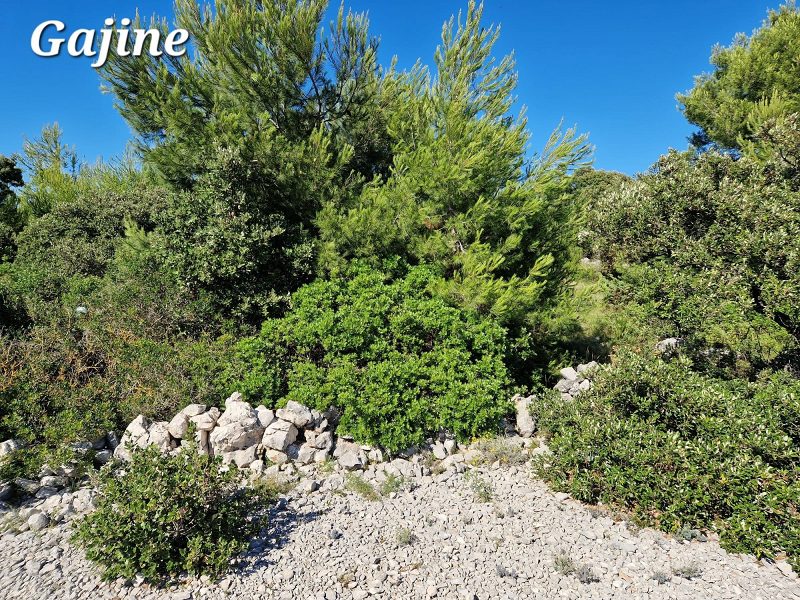 pozemek – Stavební pozemek Vir, Vir, Chorvatsko – foto 8